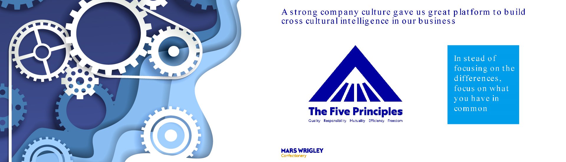 MARS_banner_5 principles-01