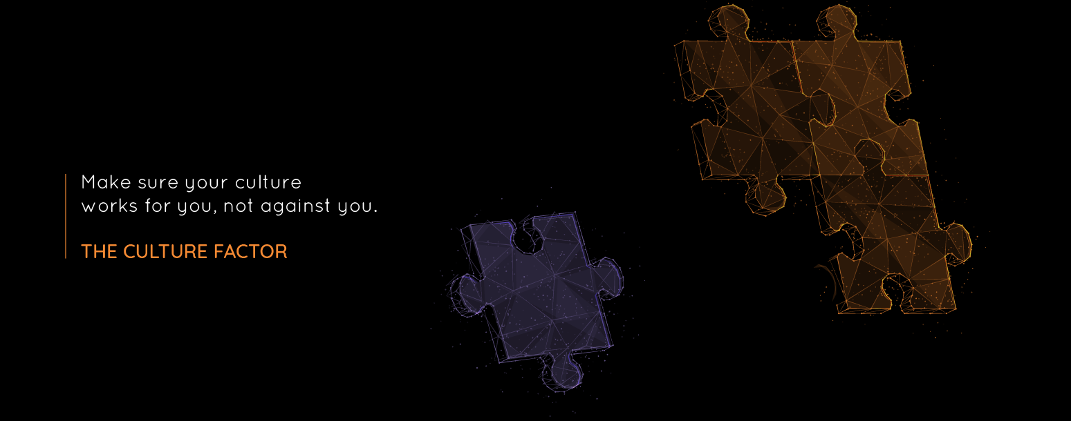 The Culture Factor_banner-1